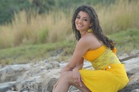 Kajal Stills in Businessman